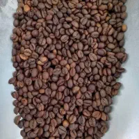 کارخانه رست و پخش دان قهوه دیار
