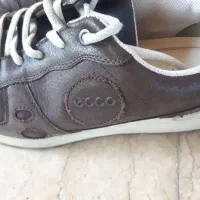 کفش اکو اصل