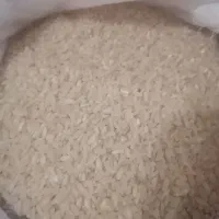 برنج کامفیروزی اعلا