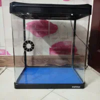 آکواریوم شرکتی شیشه خم
