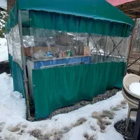 آلاچیق برزنتی آماده