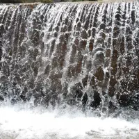 تور شارک و دربادام