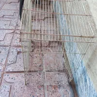 قفس پرنده بزرگ