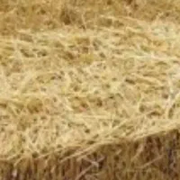 کاه برنج بسته بندی خشک
