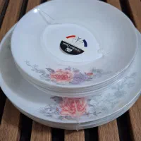 سرویس آرکوپال گلدن اوپال