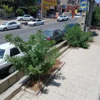 خانه