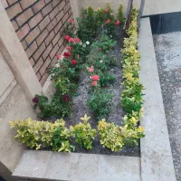 خدمات باغبانی در تمام نقاط کرج و