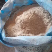 خورح برا حیونا