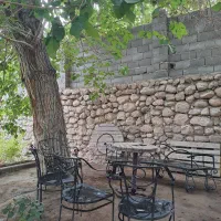 اجاره درخت توت