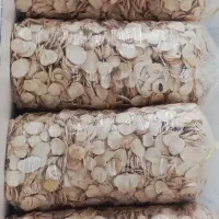 موسیر پلاک