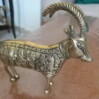 بزکوهی برنز