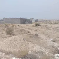 زمین روستای گلستان ساحلی (بلنگسو)