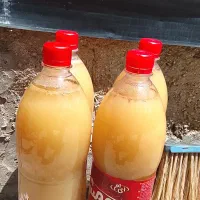 آبغوره
