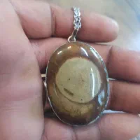 مهره سلطانی چشم