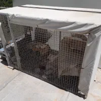 قفس سگ و مرغ و خروس