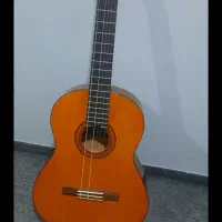 گیتار اصل و جیشاک اصل