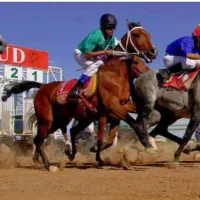 نریان دوسر کورسی