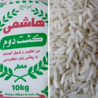 برنج کشت دو عمده