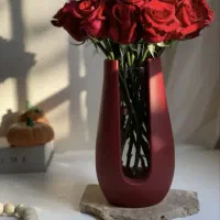 گلجا یو و جاوارمری کلبه سوئیسی و اردوخوری دوقلو