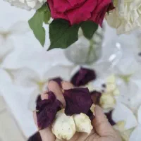گل خشک|گل مصنوعی|چهاردانگه (تهران), |دیوار