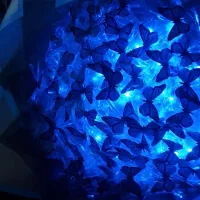 دست گل های پروانه ای