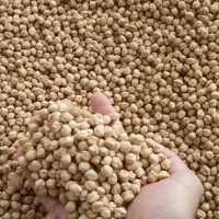 نخود لوبیا عدس