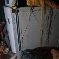 جوجه کشی ۲۷۰۰ تایی مرغ ۸۰۰۰ تابی بلدرچین و..|لوازم جانبی حیوانات|تهران, باغ فیض|دیوار
