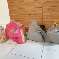 وود استیک و پوشال خرگوش