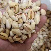 پسته سفید