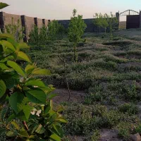 فروش یک قطعه باغ ویلایی در روستای نعمت الله .