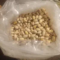 فروش ۶ کیلو پسته