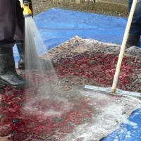 قالیشویی امیران