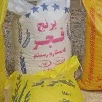 برنج چمپا،فجر زیر قیمت