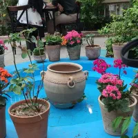 طراحی و اجرای فضای سبز حرفه‌ای خانه، کافه و ادارات