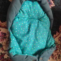 کریر و اغوشی