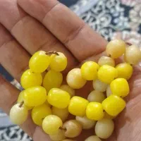 مهرکهن