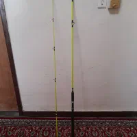 لنسر ماهیگیری