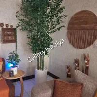 فروش درخچه بامبو