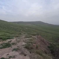 زمین-به-مساحت-دویست-متر-جنداب