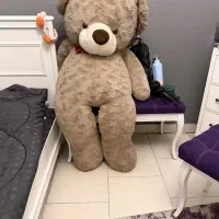 خرس بزرگ
