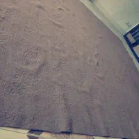 موکت|موکت|اصفهان, باغ فدک|دیوار