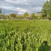 فروش زمین زراعی