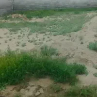 فروش زمین مسکونی و تجاری پردیس چناران