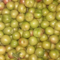 گوجه سبز ( آلوچه ) ، قیصی شکر پاره
