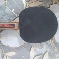 راکت پینگ پنگ دونیک و یینه 05b