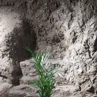 کافه رستوران اریکا