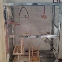 قفس پرنده