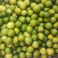 لیمو تازه مناسب آبگیری
