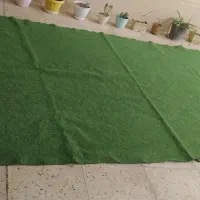 موکت سبز چمنی