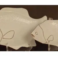 دکوری